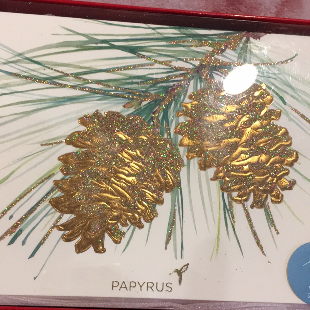 Papyrus Christmas Winter Holiday Glittering Pine Cones Greeting Cards NW… - Picture 6 of 12